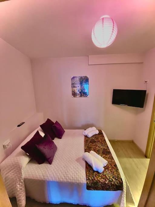 Apartment Melle: Un Descanso En El Camino